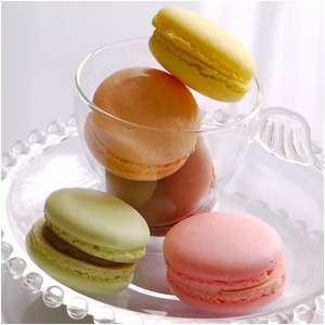 マカロン　10個入り
